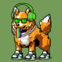 DogePunks #571