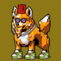 DogePunks #411