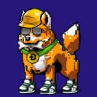 DogePunks #1727