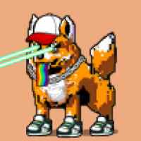 DogePunks #2493