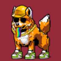 DogePunks #1666