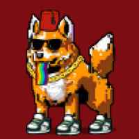 DogePunks #811