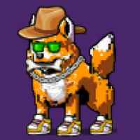 DogePunks #2113