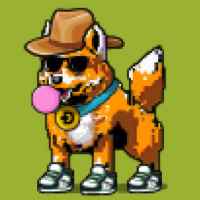 DogePunks #437
