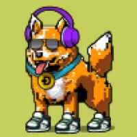 DogePunks #37
