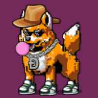 DogePunks #2240