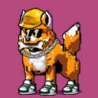 DogePunks #4886