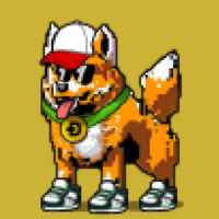 DogePunks #4055