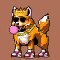 DogePunks #2641