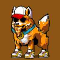 DogePunks #211