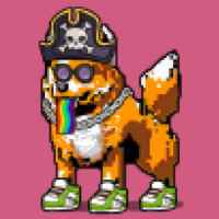 DogePunks #1019
