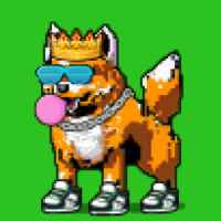 DogePunks #3979