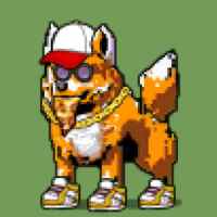 DogePunks #2242