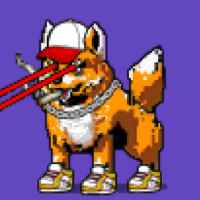 DogePunks #4916