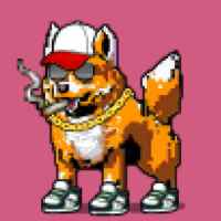 DogePunks #2694