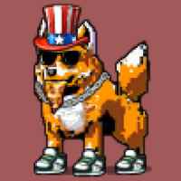 DogePunks #902