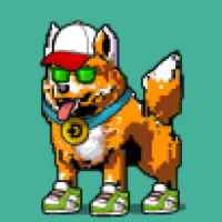 DogePunks #4355