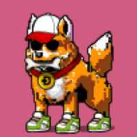 DogePunks #3255