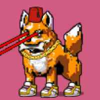 DogePunks #263