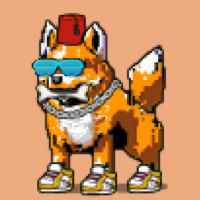 DogePunks #2869