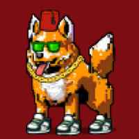 DogePunks #1921