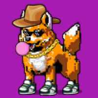 DogePunks #1105