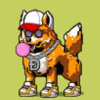 DogePunks #2970