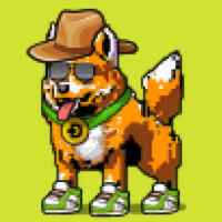 DogePunks #117