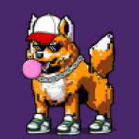 DogePunks #215