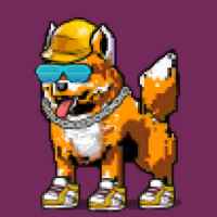 DogePunks #622