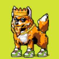 DogePunks #1001