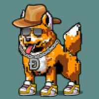 DogePunks #2912