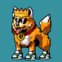 DogePunks #3259