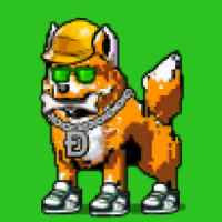 DogePunks #3898