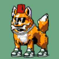 DogePunks #4246