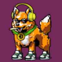 DogePunks #1585