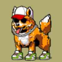 DogePunks #2675