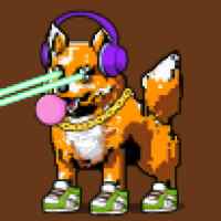 DogePunks #2251