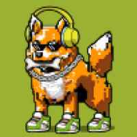 DogePunks #1479