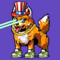 DogePunks #3116