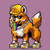 DogePunks #3621