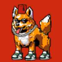 DogePunks #2491