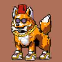 DogePunks #1690