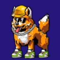 DogePunks #474