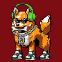 DogePunks #4884