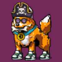 DogePunks #4651