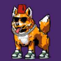 DogePunks #3510