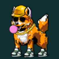 DogePunks #3004