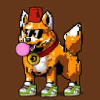 DogePunks #605