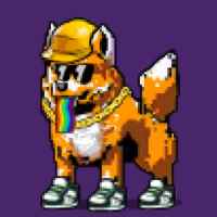 DogePunks #1518